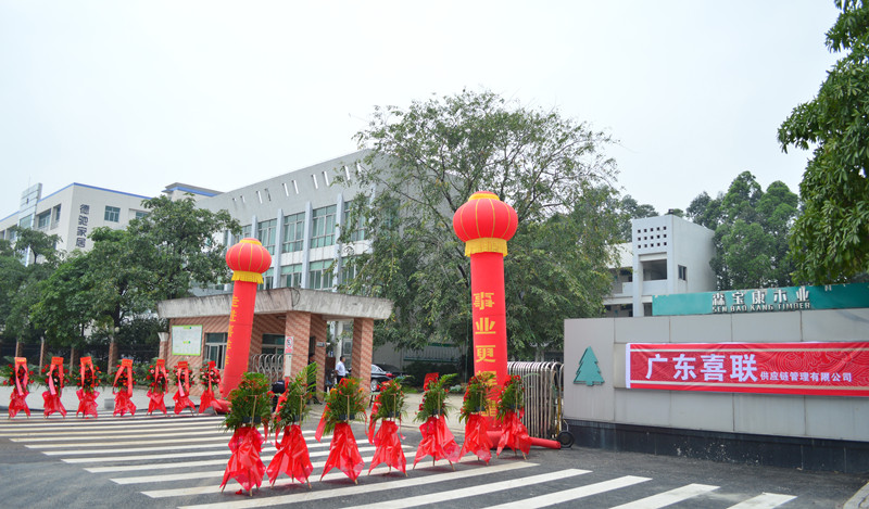广东喜联奠基仪式圆满落幕,大型现代物流中心将落户东莞洪梅